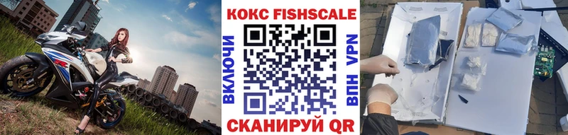 Купить закладки  Чернушка  КОКАИН Fish Scale 