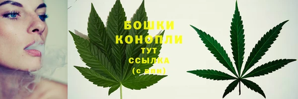 apvp Богородицк