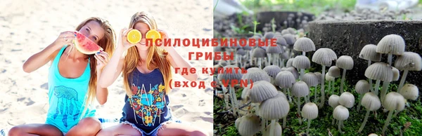 крисы Богданович