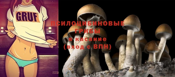 apvp Богородицк