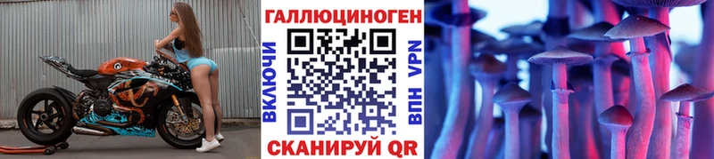 Купить  Чернушка  Галлюциногенные грибы Magic Shrooms 